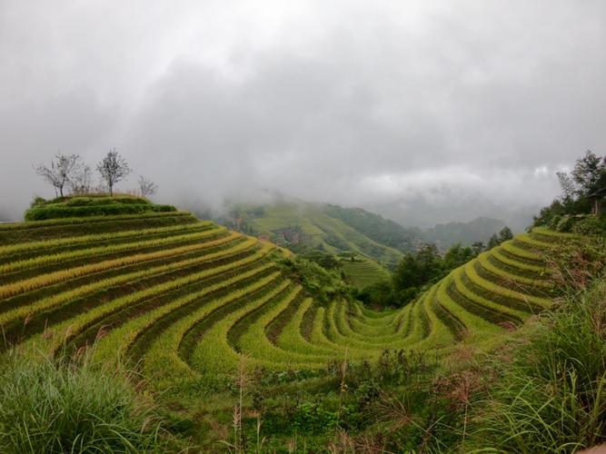 禪城到桂林貨運(yùn)電話號(hào)碼禪城到桂林貨運(yùn)電話號(hào)碼多少