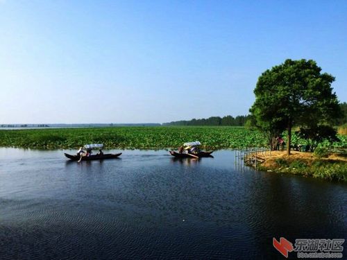 漢川貨運機場漢川貨運機場電話