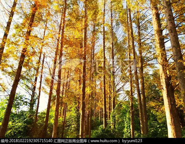 森林匯貨運(yùn)森林匯生態(tài)農(nóng)業(yè)